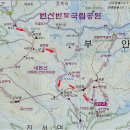 백양메디칼센터 이미지