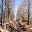 경주 산림환경연구원 불국사 (23-01-29 ) 이미지