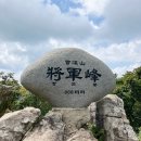 순천 나무숲 이미지