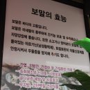 행구수변공원 | 행구동 맛집 | 행구수변공원 찐맛집 제주보말칼국수 N번째 방문후기