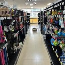 거상애견 이미지