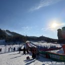 평창 대관령 알펜시아리조트 눈썰매장 특가 할인 정보, 7세 다녀온 후기
