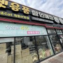 청춘애견 계룡점 이미지