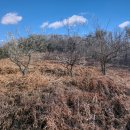 창선경로당 이미지