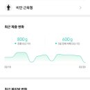 스마트스케일 이미지