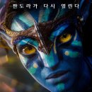 금맥을캐다 이미지