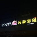 구미옥계동물병원 | [구미-동물병원] 선샤인동물병원 건강검진 후기!
