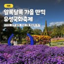 업성천 | 2025 유성국화축제 가을 만끽 후기 + 주차 정보 공연 일정