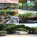 낙농목장 이미지