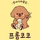 프롬코코 이미지
