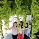 중흥2동 행정복지센터 앞 이미지