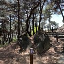 세종대왕태실 주차장 이미지