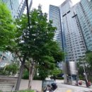 서초중앙로24길 43 (3) 이미지