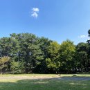 설천한의원 | 묵은지일상, 길었던 여름에서 가을로