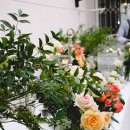 마레파티하우스 이미지