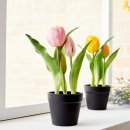 모조하우스 이미지