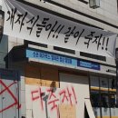크로커다일레이디경기장암 | 삶은곧생체리듬생체리듬은곧삶