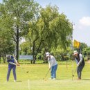 파크골프 이미지