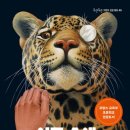 작은 불꽃 이미지