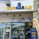 도그마캣김포라베니체점
