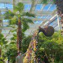 허브밸리(전망대) 이미지