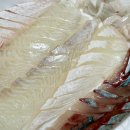 청호활어회센터 이미지