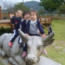 고싸움놀이 영상체험관 이미지