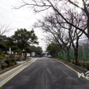 한국폴리텍 I 대학 제주캠퍼스 이미지