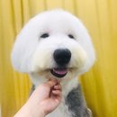 개릿뷰티 이미지