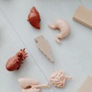 최명규 | 서울 역류성 식도염 병원 추천 TOP 5 - 실제 치료 후기와 비용