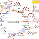 라파엘의원 이미지