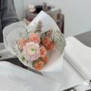 하우스오브플로 이미지