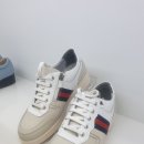 슈올즈 괴정점 이미지