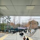 (주)스카이소울 | 고척돔 맛집 내돈내산 혼밥 점심 데이트 추천 닥터로빈 예약