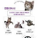 스마트오토