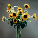 리우(Liu) 이미지