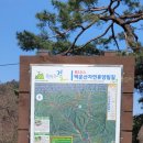 원주굽이길 원3코스 백운산자연휴양림길 이미지