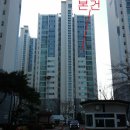 조성원내과의원 Daum카페