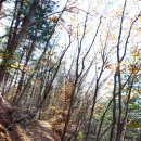 마동 탑마을 이미지