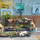 하나사랑동물병원 이미지