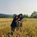 이홍식농장 이미지