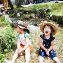 구갈레스피아 이미지