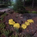 스무숲공원 이미지