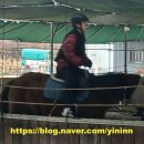라파승마장