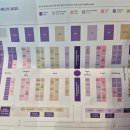 아름목장 | [마곡]컬리푸드페스타 2025(본전 뽑아가는 식품박람회::평일 오전후기/선물가득)