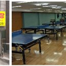 탁구 오후B 이미지