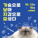 수원-1281 이미지