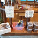 원조파주골순두부집 이미지