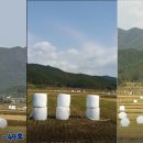 정남진 축산 이미지