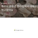돈삼겹한라점 이미지